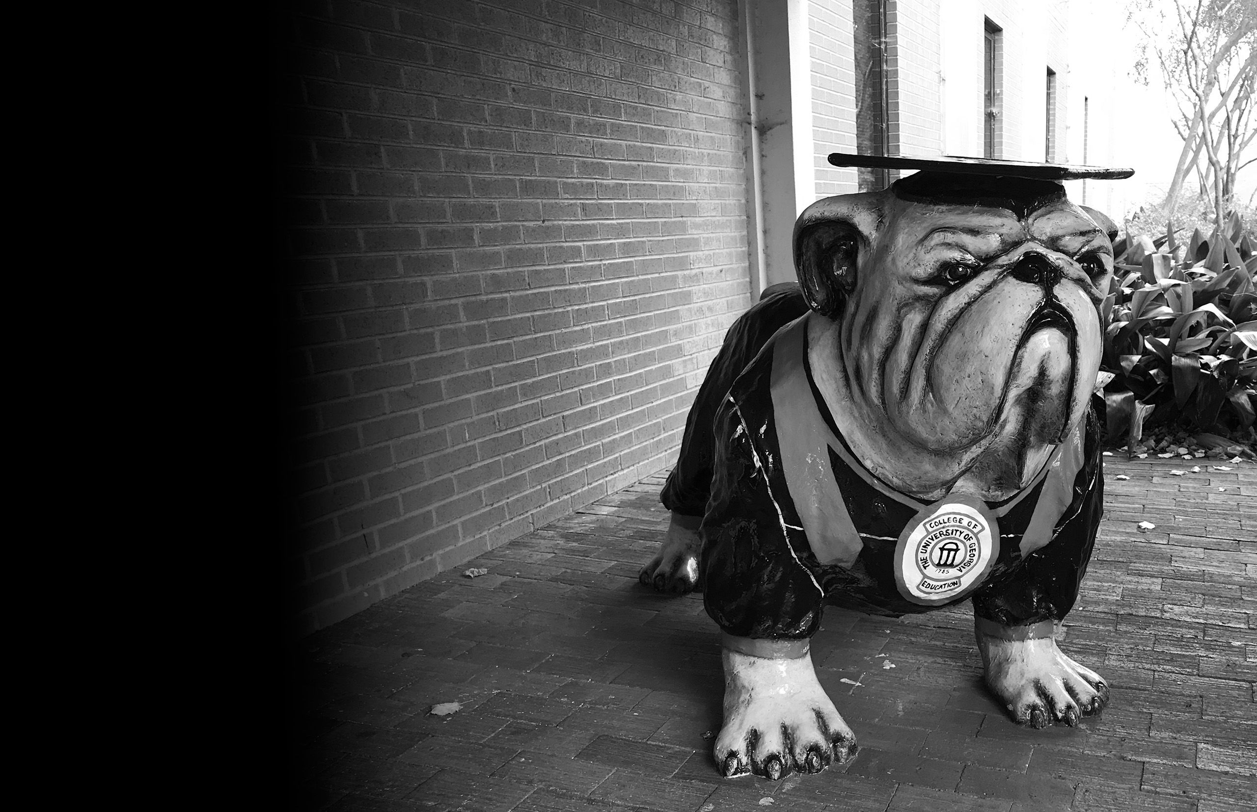 Black-and-white portrait of EduDawg statue